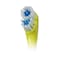 Colgate Kid's Power Minions Toothbrush
