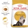 Feline Breed Nutrition Persian Adult 4 KG