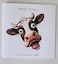 LKs Invitations You're how old? Fun cow Birthday card