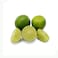 Green Lime