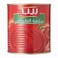 Peep Tomato Paste 800g