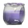Aladino 30H Lavender Scented Jar Candle Purple