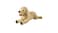 Soft toy, dog/golden retriever, 70 cm