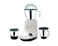 Pigeon Mixer Grinder 550W  Ivory