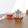 Hario Tpc-70Hsv 700 ml 1-Piece Glass Tea Pitcher With Stainless Steel Filter, Clear