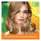 NISHA HAIR COLOR L.BLONDE8.0 138ML
