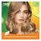 NISHA HAIR COLOR L.BLONDE8.0 138ML