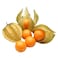 Physalis 100g