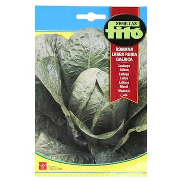 بذور خس طويلة من سيميلاس فيتو رومانا