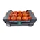 Sgm Tomato Box 3kg