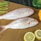 Sultan Ibrahim Fish