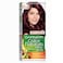 Garnier Color Naturals 3.6 Deep Red Brown