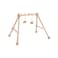 Plantoys Sustainable Play- Play Gym