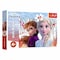 Trefl 17333 Frozen II The Enchanted World Of Anna And Elsa Puzzle Set 60 Pieces