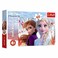 Trefl 17333 Frozen II The Enchanted World Of Anna And Elsa Puzzle Set 60 Pieces
