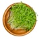 Cress Microgreens