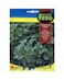 Fito Parsley Gigante De Italia