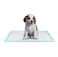 Ultra-Absorbent Blue Pet Training Pads for Dogs, Puppy Trainer Pads, Toilet Pee Wee Dog Pet Cat Mat, Small Size pack of 50