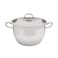 Nouval Stainless Steel Platinum Pot - Size 20