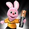 Duracell Plus Power Type AAA Alkaline Battery - 2 Batteries