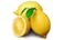 Adalia Lemon