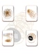 DLC Coffee Capsules Holder Gold 40X15X15cm