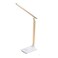 Home Pro LED Desk Lamp Rose Gold