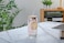 1CHASE Borosilicate Valentine-Themed Patterns Drinking Glasses With Bamboo Lid 550ml, Glass Straw And Cleaning Brush, Mason Jar, Can Shaped Tumblers - Set Of 2