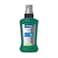Eva Smokers Mouthwash Menthol - 250ml