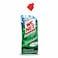 Wc Net Fresh And Hygienic Mountain Fresh 750ML