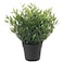 Fejka - Artificial Potted Plant, In/Outdoor House Bamboo, 9 Cm