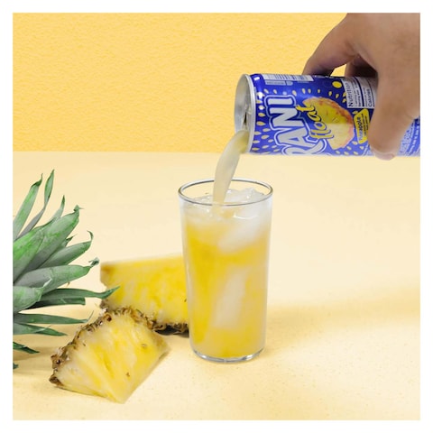 Rani Pineapple Juice - 235 ml
