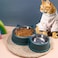 Okbuynow Double Dog Cat Bowls Durable Stainless Steel Pet Bowl with No-Slip Cute Modeling Food Water Feeder for Puppy Medium Pets Dogs Cats Green&hellip;
