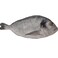 Fresh Seabream 400600