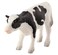 Toy School - Holstein Calf Standing Figurine
