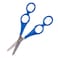 Dual Control Scissors RH