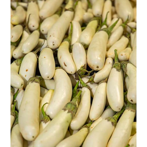 White Eggplants