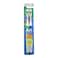 Oral B 123 Toothbrush Promo 1 + 1 Piece Free
