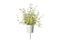 Click and Grow Smart Garden Thyme Plant Pods, 3-Pack