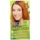Naturtint - Permanent Hair Color 8C Copper Blonde -  5.6 Oz.