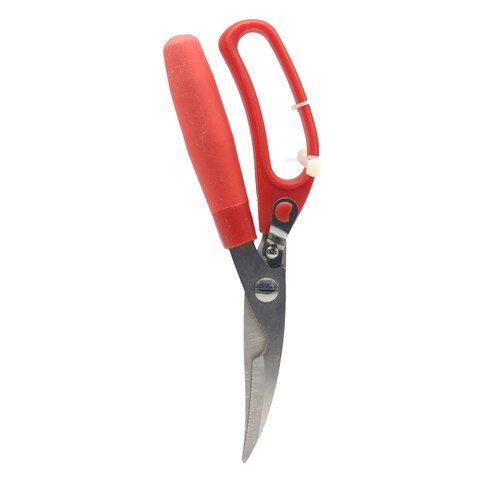 BONITO SCISSORS BT2532