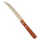 TRAMONTINA STEAK KNIFE DYNAMIC 5
