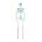 Chamdol 6&quot;Skeleton X9