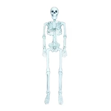 Chamdol 6&quot;Skeleton X9