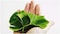 Biota Nutraxin Herbals, Ginkgo Biloba Leaf Extract 120mg, 60 Tablets