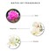 Enchanteur Enticing Perfumed Shower Gel 250 ml