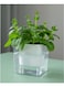 vsell24&nbsp;Hydroponic Indoor Plant with Clear Plastic Container - Elegant Design, Easy Maintenance-Large