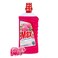 Max All Purpose Cleaner Antibacterial 1 lt