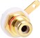 DKURVE&reg; RCA Female Bulkhead Socket (PACK OF 6)