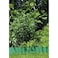 Gardena Lawn Edging 5292 Green 9cm